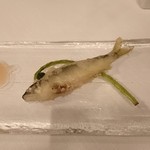 サーラ アマービレ - 稚鮎のフリット