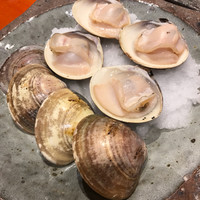 魚竹 - 