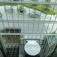 IL PINOLO 梅田 - 