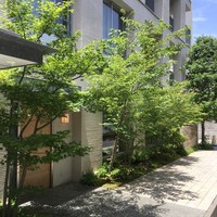 松川 - 2017.6