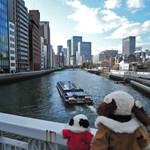 ブルックリン ロースティング カンパニー - 堂島川にかかる難波橋(なにわばし)だよ。
      川を眺めていたら走行中の大阪水上バスを発見！
      大阪城や中之島周辺を観光できるみたいだね。
      
      ちびつぬ「乗ってみたいわね～」