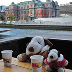 ドリンクとスイーツを受け取ってテラス席に。
          後ろに見える建て物はさっきの大阪市中央公会堂だよ。
          こんなところでおやつタイムができるなんて最高～！！