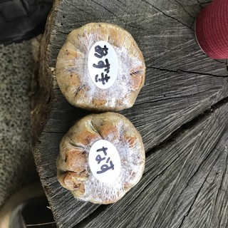 権兵衛峠のパン_0