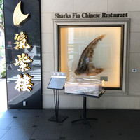 筑紫樓 銀座店 - 