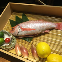 のどぐろ専門 銀座 中俣 - 
