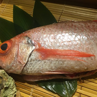 のどぐろ専門 銀座 中俣 - 