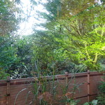 新日本料理 神也 - 2017.06 蛍でも出てきそうな裏庭