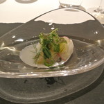 リストランテ カノフィーロ - 真ダコとグレープフルーツ、山ワサビ