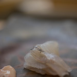 鮨 橋口 - 竹岡沖（たけおかおき）眞子鰈（まこがれひ）