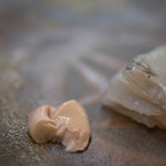 鮨 橋口 - 竹岡沖（たけおかおき）眞子鰈（まこがれひ）の肝臓（きも）