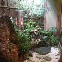 祇園 にしかわ - 