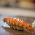 鮨 橋口 - 天草（あまくさ）車蝦（くるまえび）