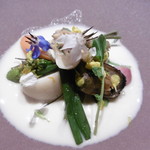 リョウリヤ ステファン パンテル - 冷前菜（貝と野菜）