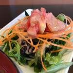 pompadours 紗 - 