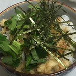 Tempura Temmatsu - 2017年6月。揚げ玉＋三つ葉＋海苔。