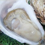 Setsugetsuka - プリプリ生牡蠣