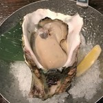 Setsugetsuka - 岩牡蠣入荷中