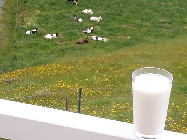 べ～ごこハウス - 本吉（焼肉）の写真