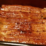 満寿家 - 満寿家 うな重（上）