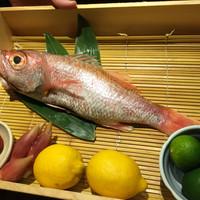 のどぐろ専門 銀座 中俣 - 