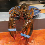 Ata - オマール海老