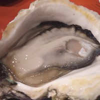 魚竹 - 