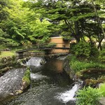 Japanese cuisine Kasuke