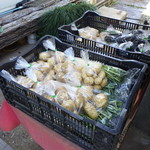 おもち茶屋 農楽 - 地元の野菜たち。