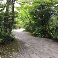 THE SODOH HIGASHIYAMA KYOTO - 緑の小道を進むと