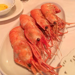 カトリカ - エビのグリル