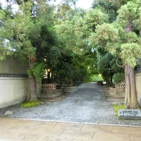 招福樓 本店 - 