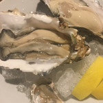 ビストロ ティアボ - 