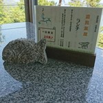 open cafe　遠見茶屋 - ランチメニュー