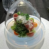 Élan - 