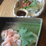 ろばたやき山ろく - ささ身・トロずり刺し(^^)