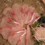 新橋 かま田 - ほうぼう