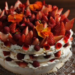 FRANZE & EVANS LONDON 表参道店