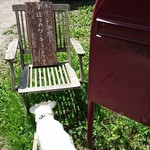 カフェ・ル・プティ・ニ・トロワ - 