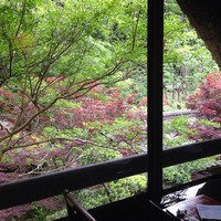 うかい鳥山 - 