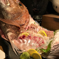 水魚 - 特大鯛の御造里