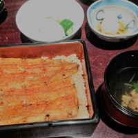 五代目 野田岩 麻布飯倉本店 - うな重