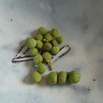 徳山鮓 - 湯がいた山椒