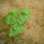 徳山鮓 - 味噌汁