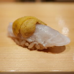 鮨 尚充 - 白甘鯛に唐津赤ウニ