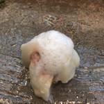 寿司栄 - 朝〆の鯛