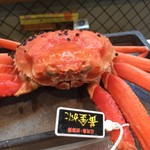 寿司栄 - 北陸産　黄金蟹