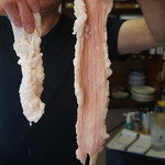 シマチョウ(表裏)