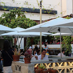 Buho Cocina Y Cantina - 