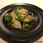 カーサ・デル・チーボ - 真羽太のブレザオラ仕立にカラスミ