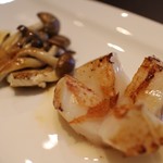 scallop